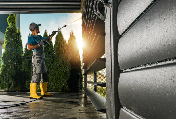 Best Building Exterior Washing  in Centreville, MD